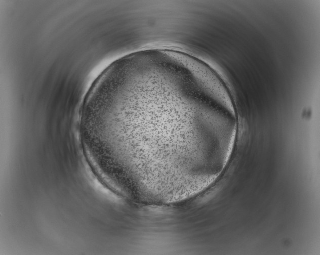 X0000112851102200909041524