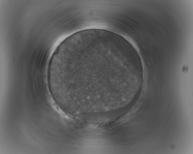 X0000112851104200909041524