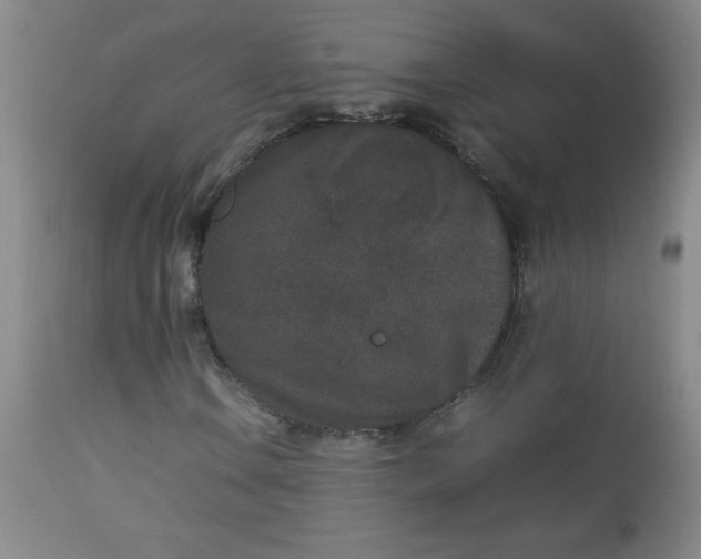 X0000112851106200909041523