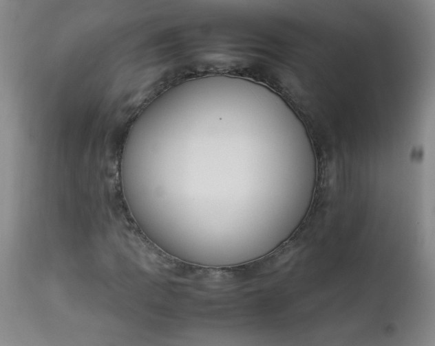 X0000112851109200909041523