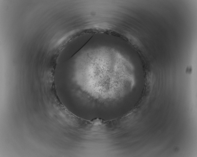 X0000112851110200909041523