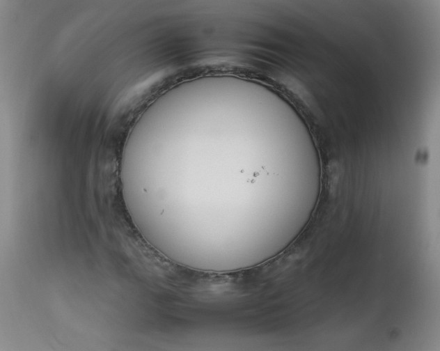 X0000112851111200909041523