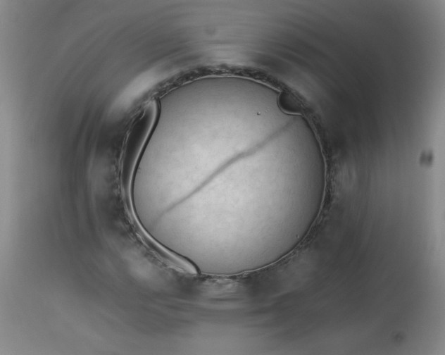 X0000112851112200909041523