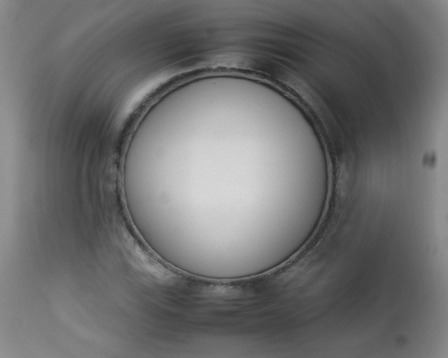 X0000112851115200909041523