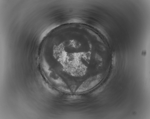 X0000112851117200909041523