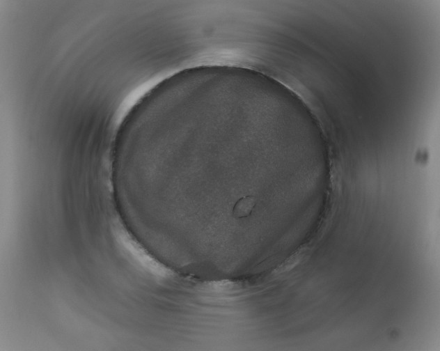 X0000112851120200909041523