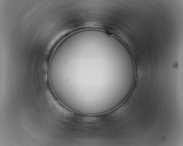 X0000112851123200909041523