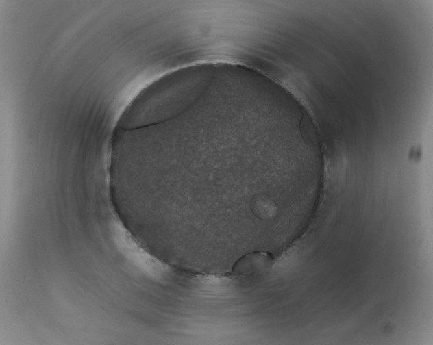 X0000112851124200909041523