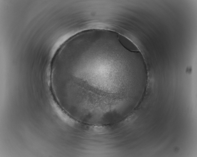 X0000112851128200909041523