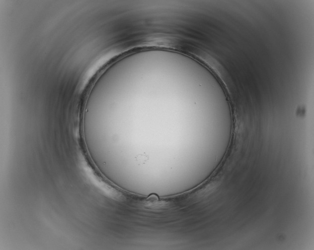 X0000112851131200909041523