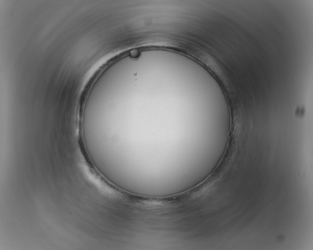 X0000112851132200909041523