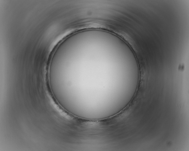 X0000112851134200909041523