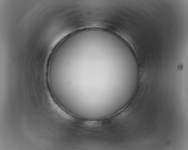 X0000112851135200909041523