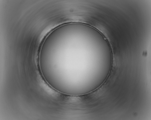 X0000112851136200909041523