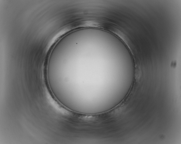 X0000112851139200909041523