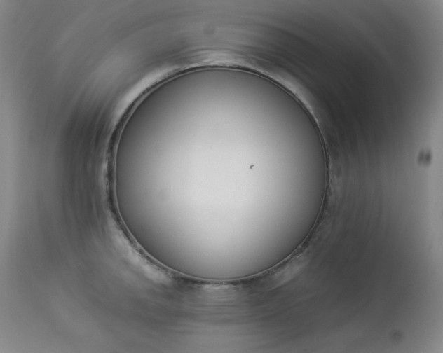 X0000112851142200909041523