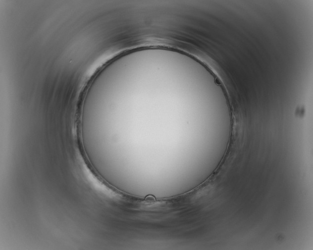 X0000112851143200909041523