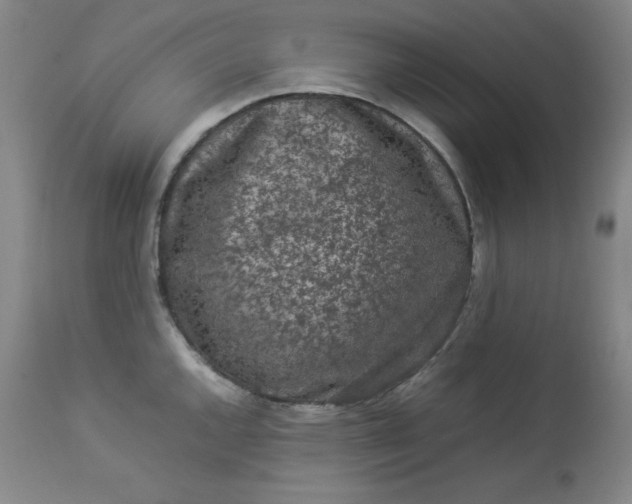 X0000112851144200909041523