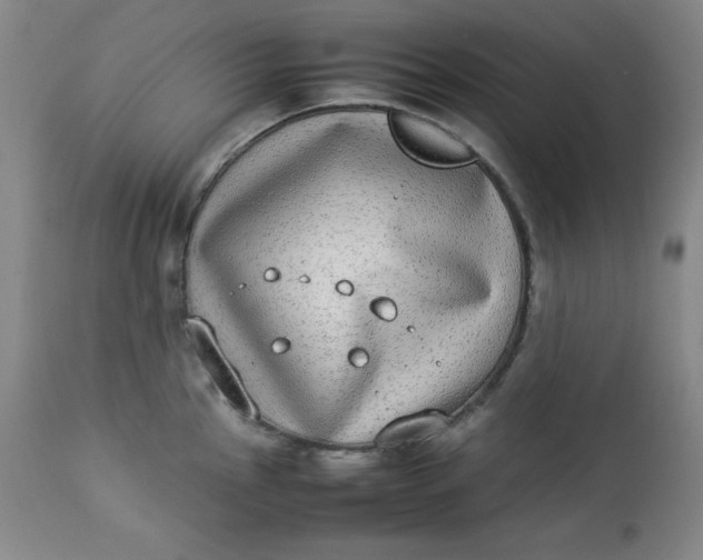 X0000112851145200909041523