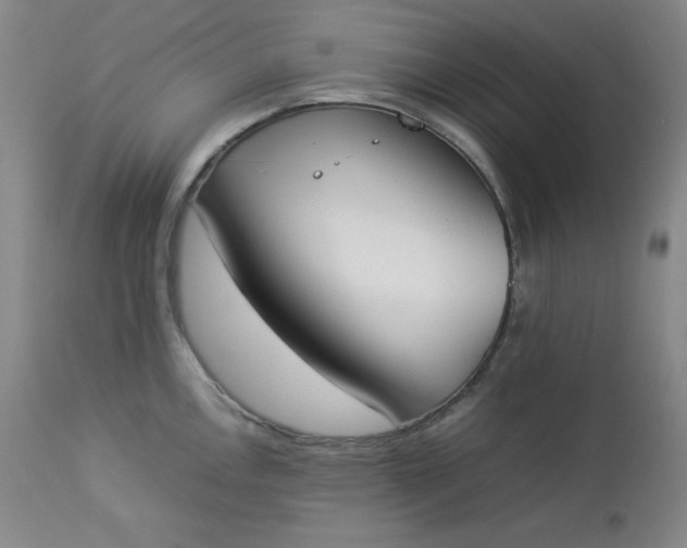 X0000112851146200909041523