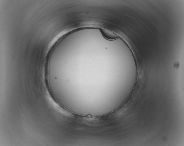 X0000112851147200909041523