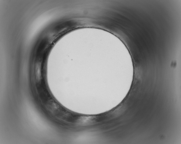 X0000112851150200909041523