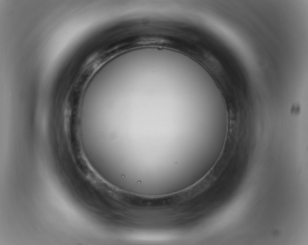 X0000112851151200909041523