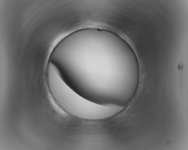 X0000112851152200909041523