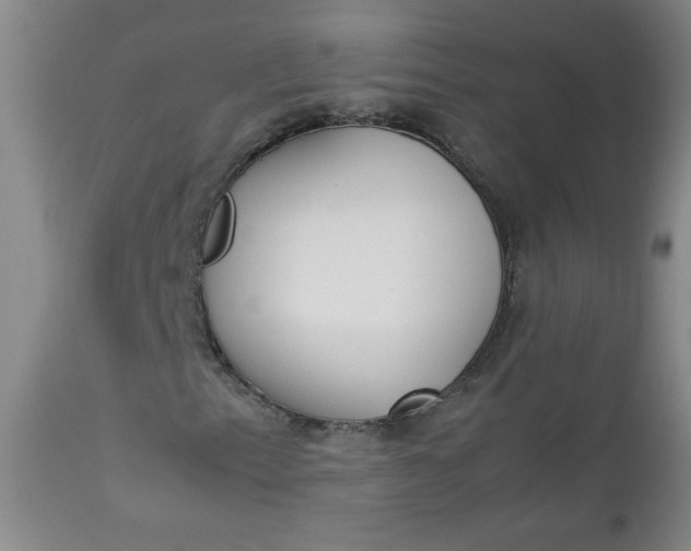 X0000112851153200909041523