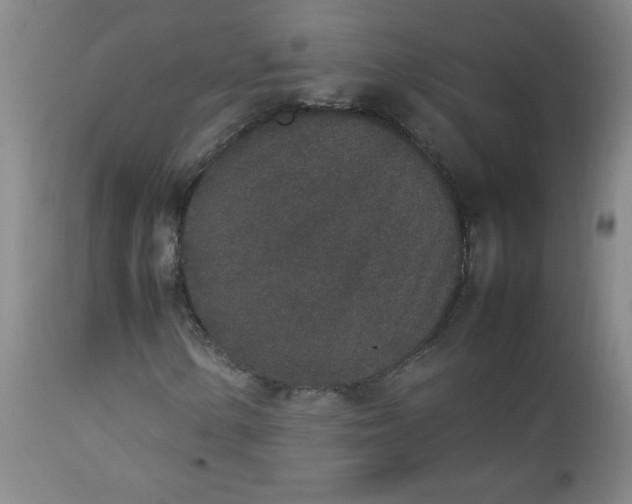 X0000112851154200909041523