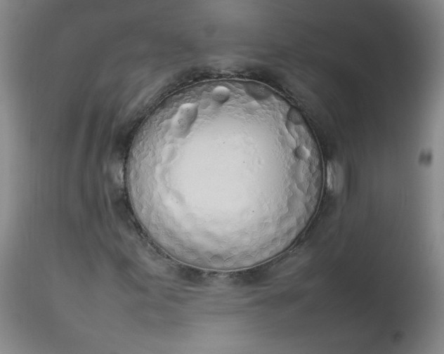 X0000112851155200909041523