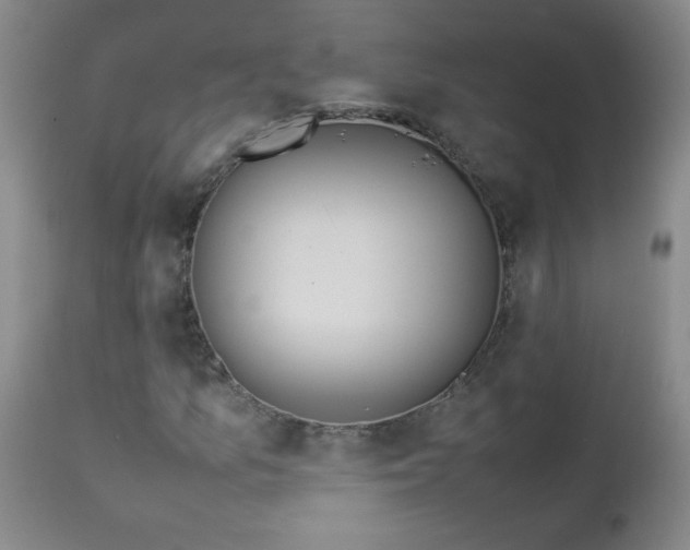 X0000112851157200909041523