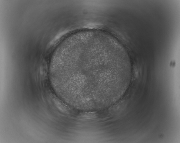 X0000112851158200909041523