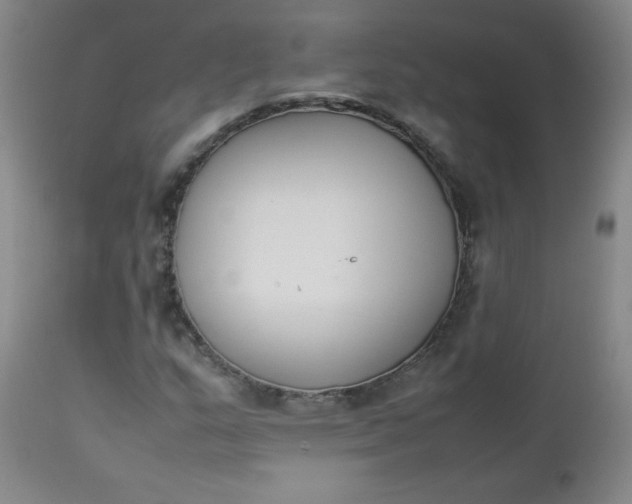 X0000112851159200909041523