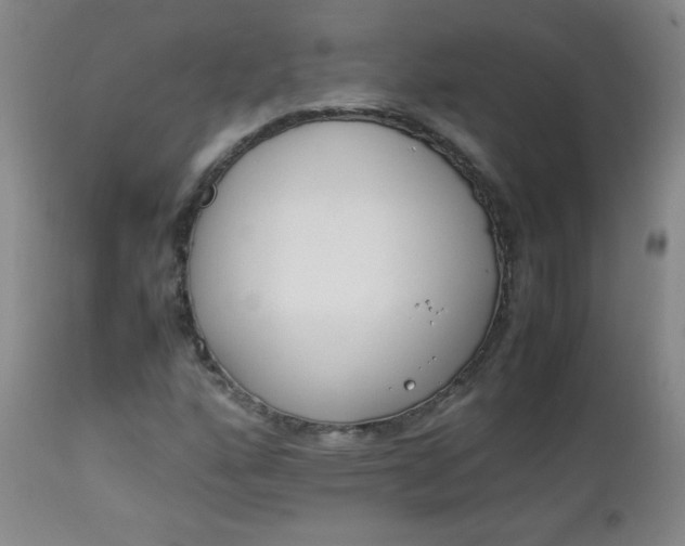 X0000112851160200909041523