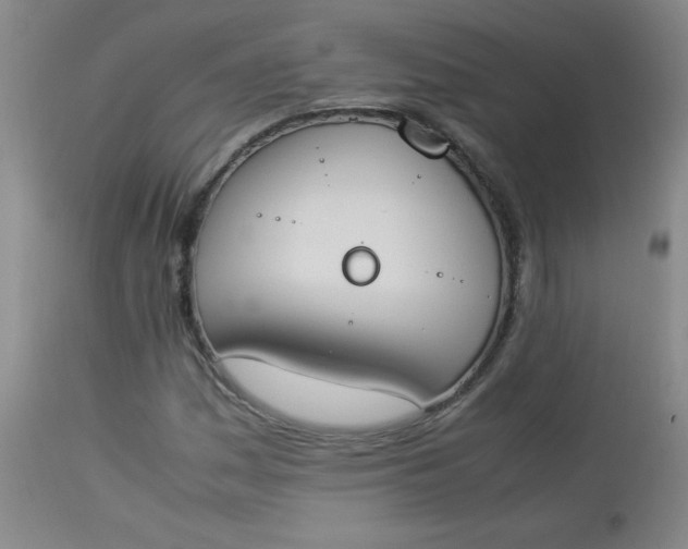 X0000112851161200909041523