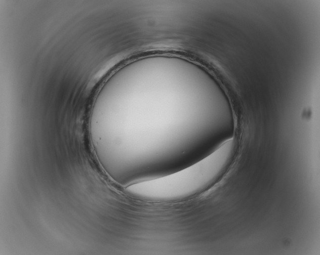 X0000112851162200909041523