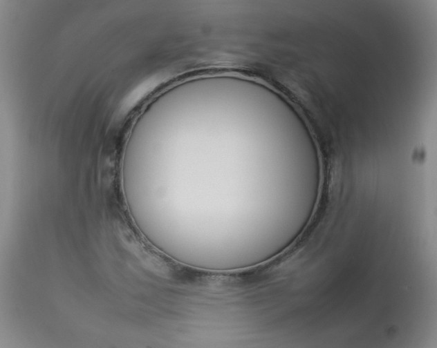 X0000112851163200909041523