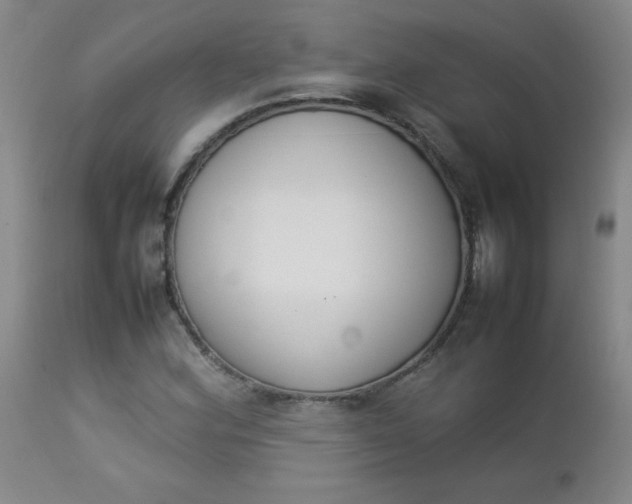 X0000112851164200909041523