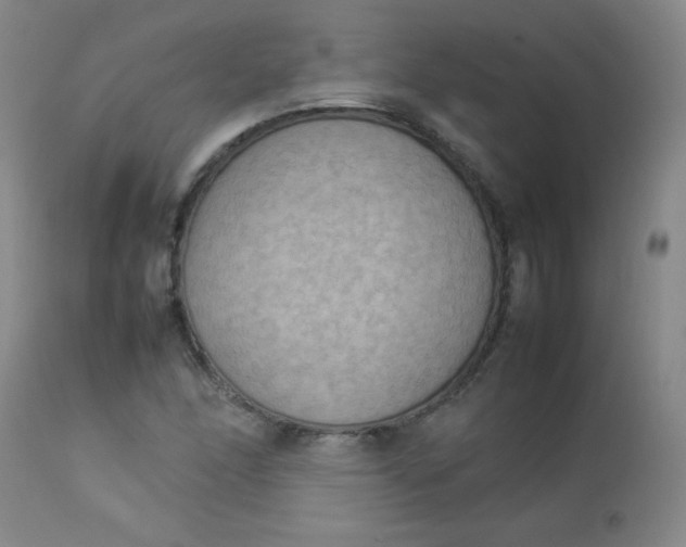 X0000112851166200909041523