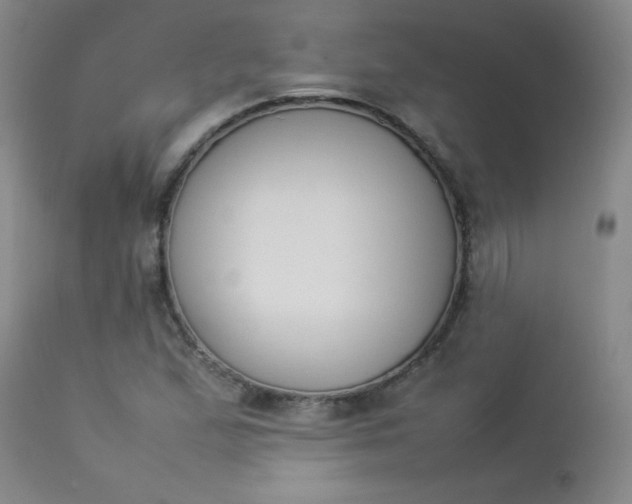 X0000112851167200909041523