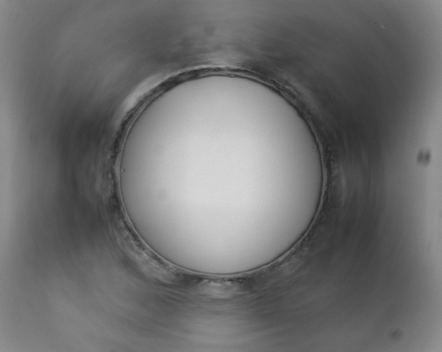 X0000112851168200909041523