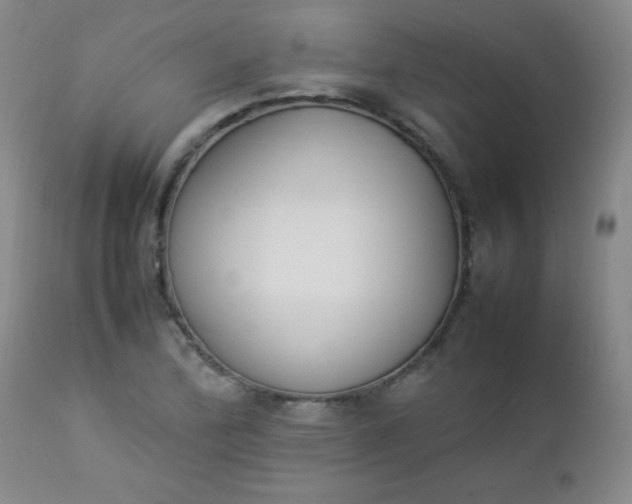 X0000112851172200909041523