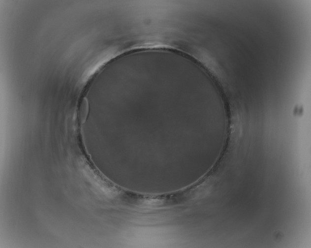 X0000112851173200909041523