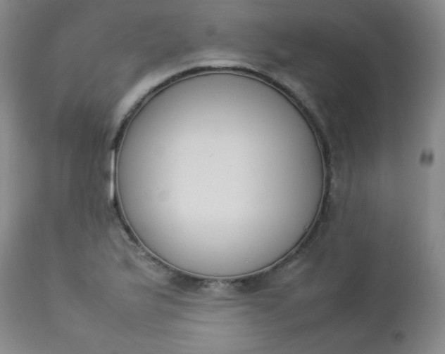 X0000112851175200909041523