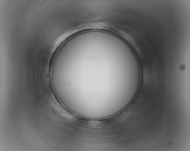 X0000112851176200909041523