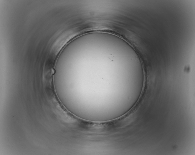 X0000112851177200909041522