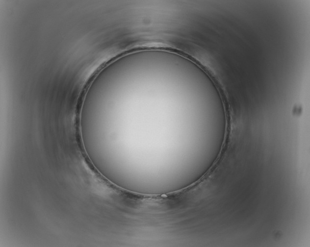 X0000112851181200909041522