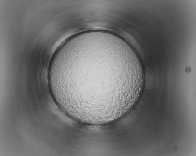 X0000112851182200909041522