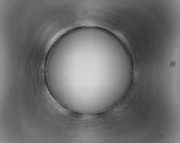 X0000112851183200909041522